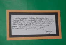 Art Solutions Testimonial 02