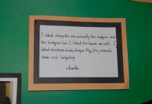 Art Solutions Testimonial 03